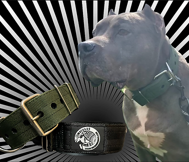 MBK9 Collars