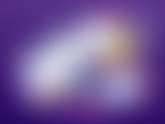 SEO and Conversion Strategy