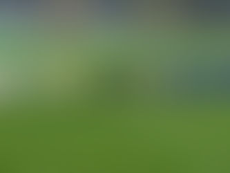 Club - Résumé de la victoire des U16 R1 à Saint-Paul-lès-Dax