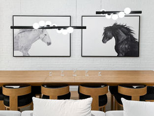 two wild horse artwork pieces hanging on a wall
