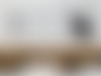 two wild horse artwork pieces hanging on a wall