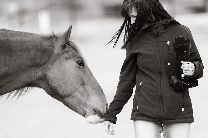 maria marriott wild horse photographer petting a mustang