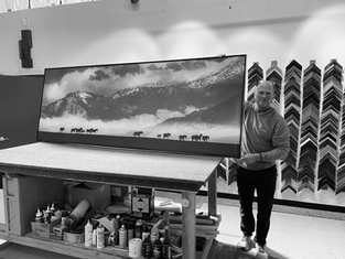 Wild Horse Art - From An Art Consultant's Perspective