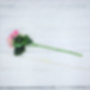 image6.jpeg