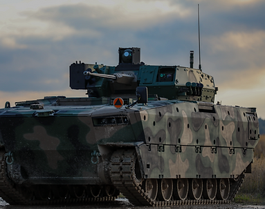 BWP_Borsuk_-_221114-Z-YU201-1007 (1)_edited_edited.png