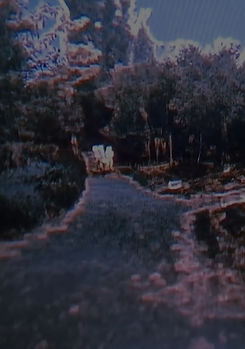 Capture_edited.jpg