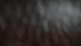 1709355507584.png
