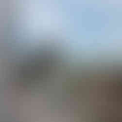 Charity abseiler waving