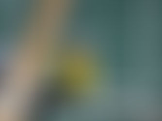 Over £20,000 Raised By McDonalds Group at Twickenham Zip Wire 2025!