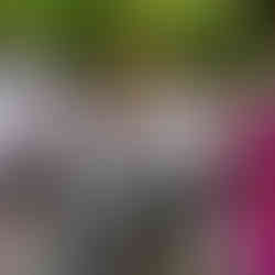 Charity abseil participants