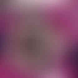 Cakes for the charity and the local school group