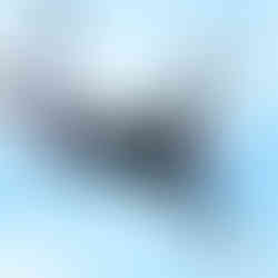 Ed Davey flying through the air as he completes bungee jump