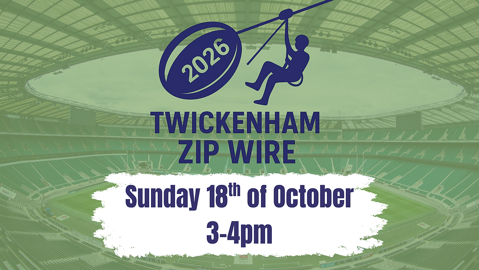 Twickenham Zip Wire