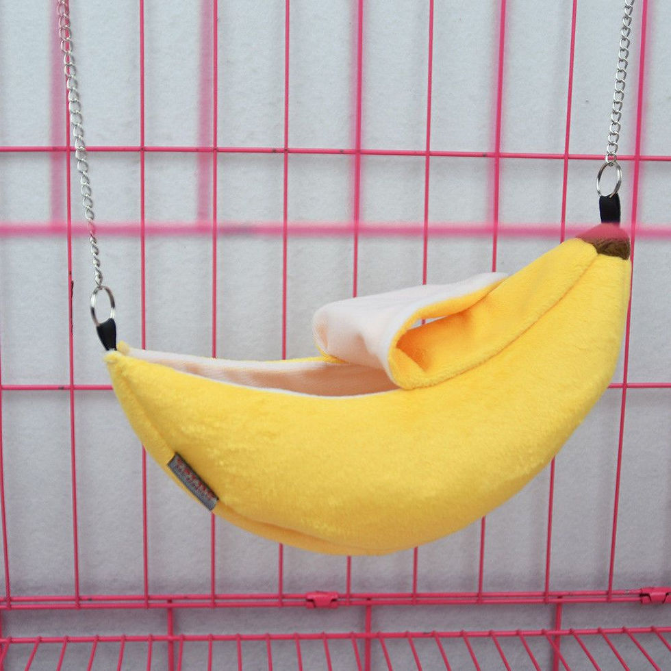 bananapouch