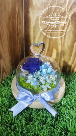 WhatsApp Image 2017-03-24 at 22.43-D