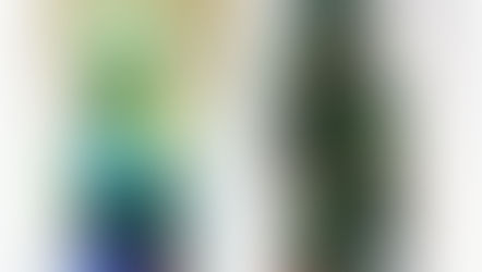 Christmas Workshop (E) - 日本保鮮花Preserved flower 聖誕樹班