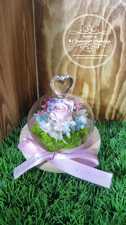 WhatsApp Image 2017-03-24 at 22.43-C