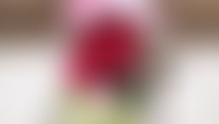 PF227作品 - Preserved Flower 保鮮花系列 - 紅色玫瑰心型頂玻璃瓶