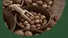 03 Our Products Page.webp