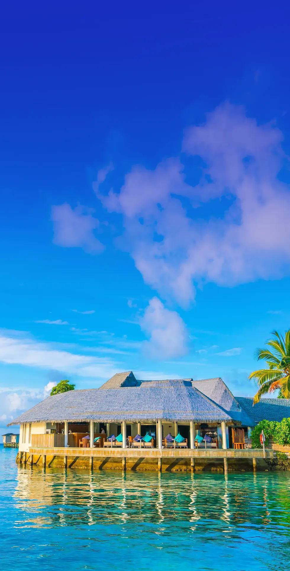 Soulsteps - Web About Page (Mobile).webp