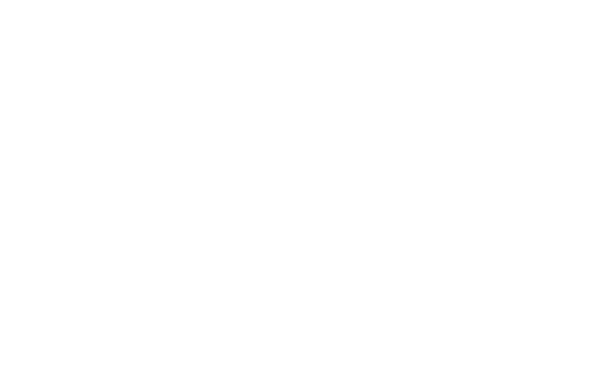 VA-LogoWeb (Blanco).png