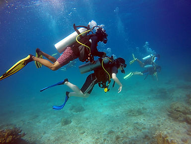 Discover Scuba Diving Mantanani Island Malaysia