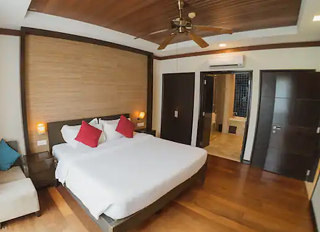borneo 2.webp