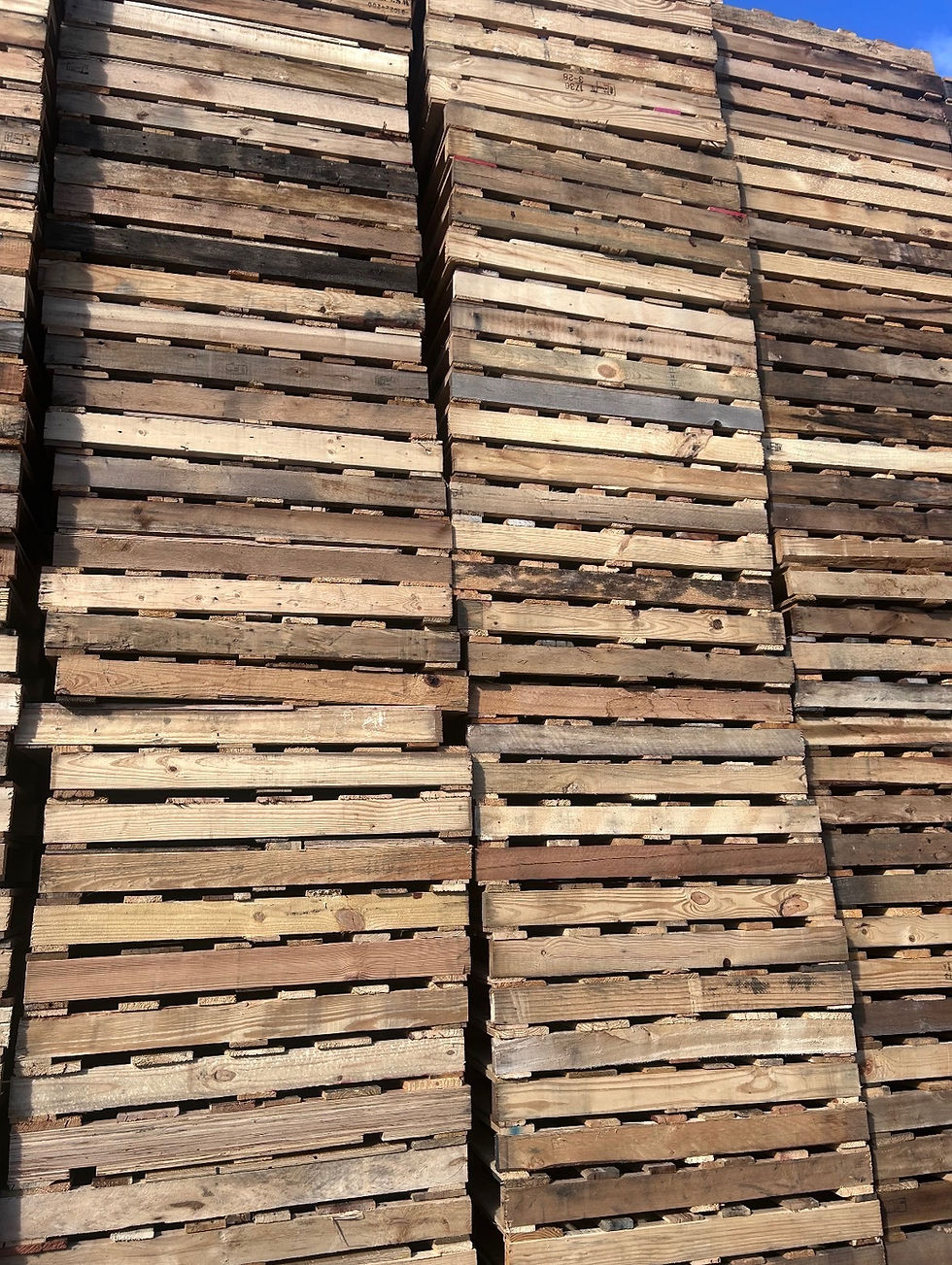 36x36 Pallets: A Compact, Reliable Solution for Specialized Operations