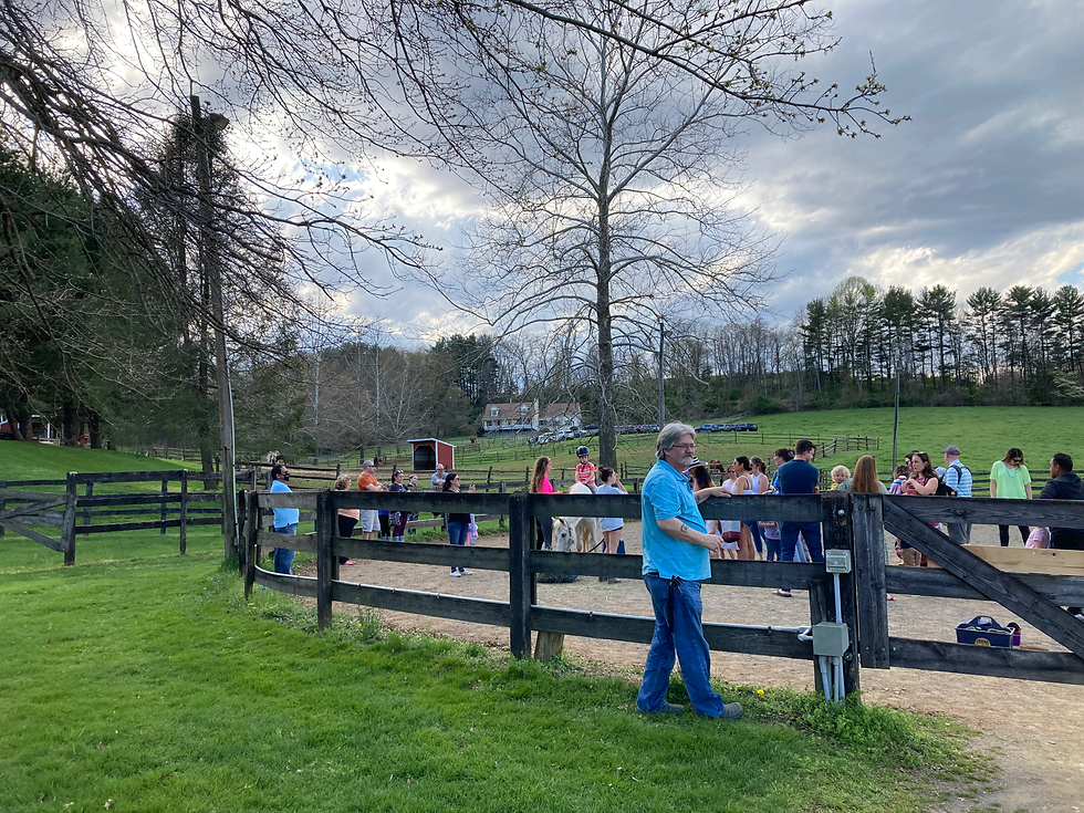 A crowd observes horse riding activities, enjoying the outdoor farm atmosphere.