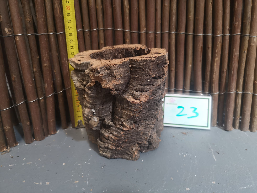Thumbnail: Larger Cork Pots
