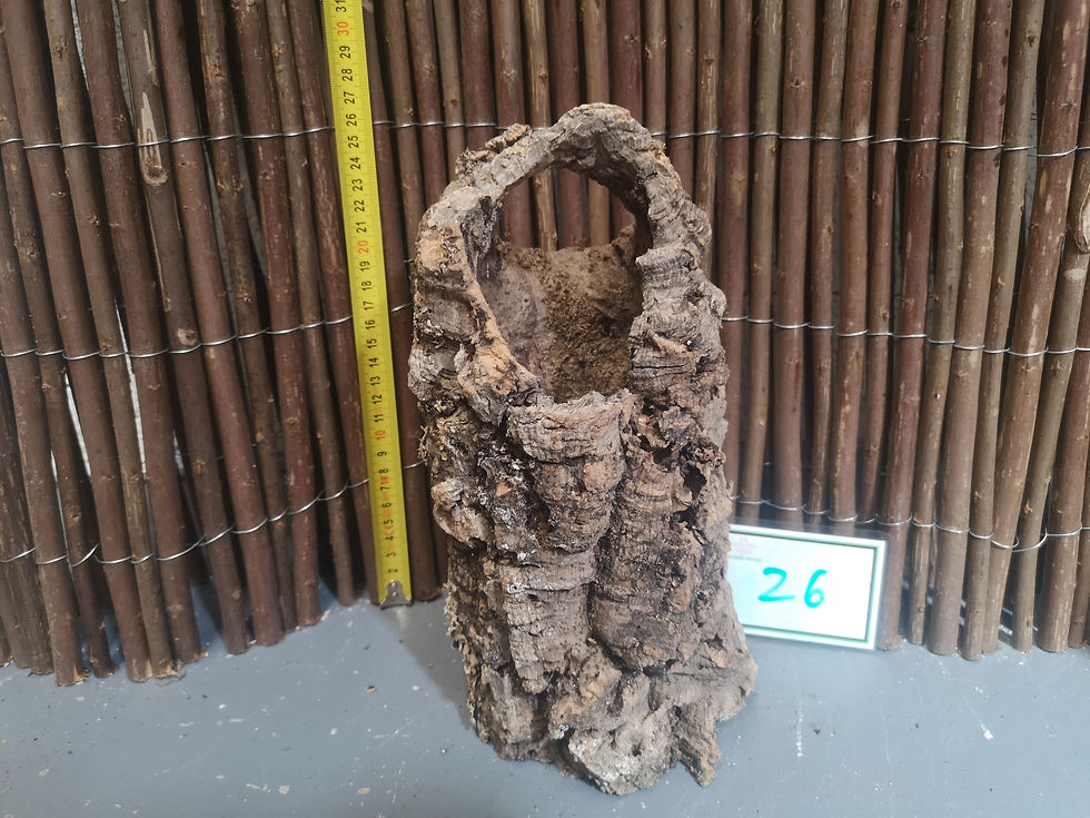 Thumbnail: Larger Cork Pots