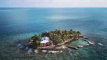 volunteer abroad South America, whale shark volunteer projects, volunteer overseas in Belize, marine conservation programs in South America