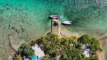 volunteer abroad South America, whale shark volunteer projects, volunteer overseas in Belize, marine conservation programs in South America