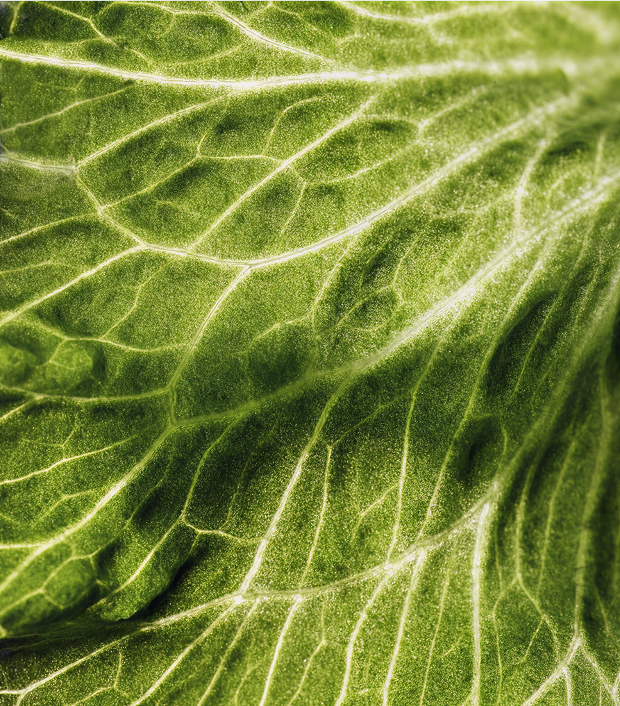 image 54.png