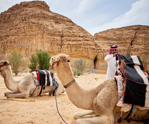 wadirumdesertsalemwhitedesert