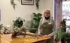How to Care for an Air Plant