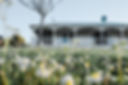 DSCF3114.jpg