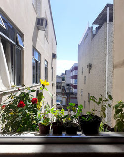 Letícia de Souza Jorge