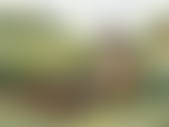 A Simple Guide to the No Dig method