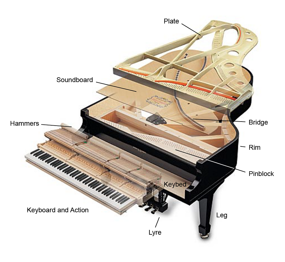 How to choose a piano?