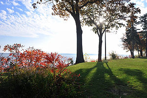 istockphoto-491727951-612x612.jpg