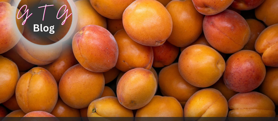 good thyme gal food and lifestyle blog national apricot day