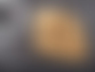 good thyme gal food and lifestyle blog national animal crackers day