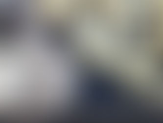 good thyme gal food and lifestyle blog national garlic day