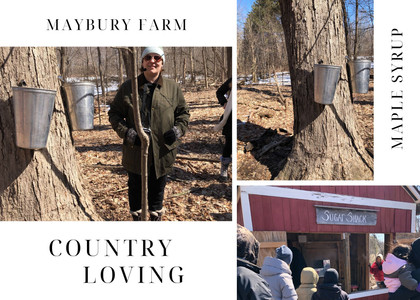 Maybury Farm Maple Syrup Tour