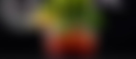 good thyme gal food and lifestyle blog national bloody mary day