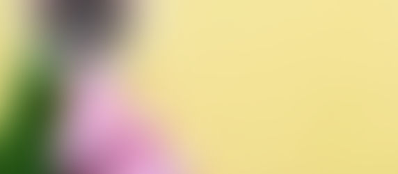 April Edition-Baja Salad Recipe 