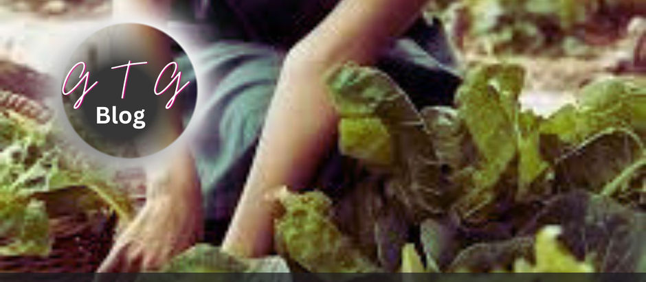 Gifts From The Garden 