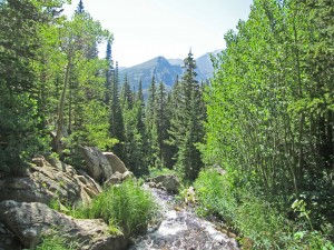 Universal Promotion of the Principles of Zazen by Dogen