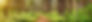 AdobeStock_116802290.jpeg